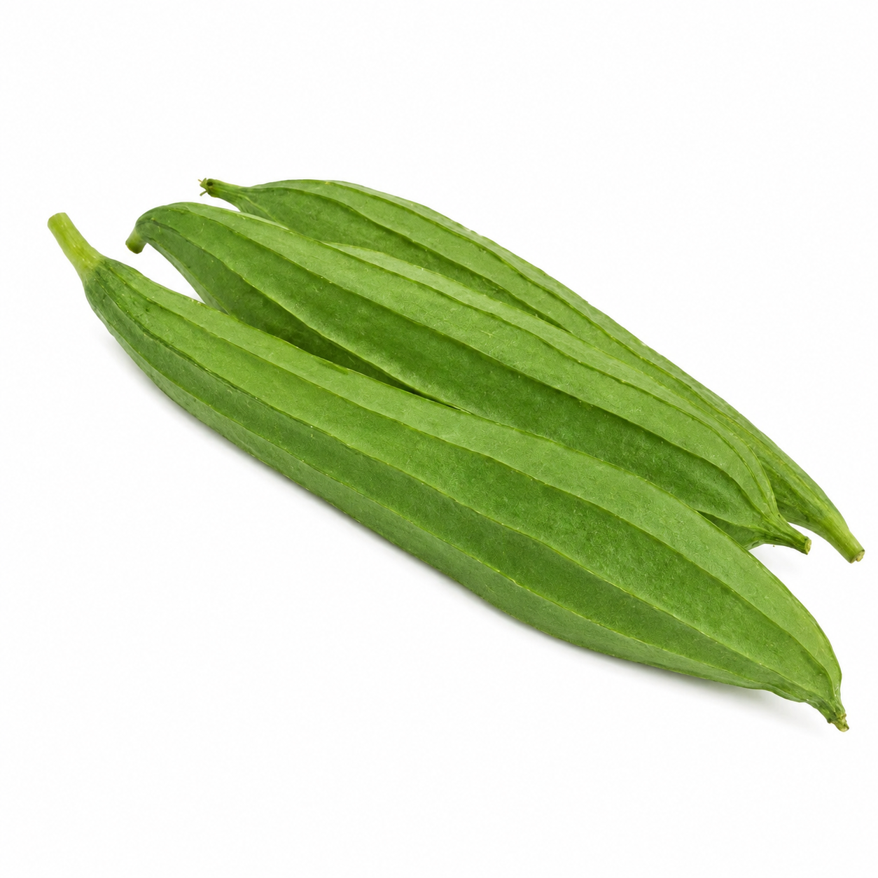 JHINGA / TORI 