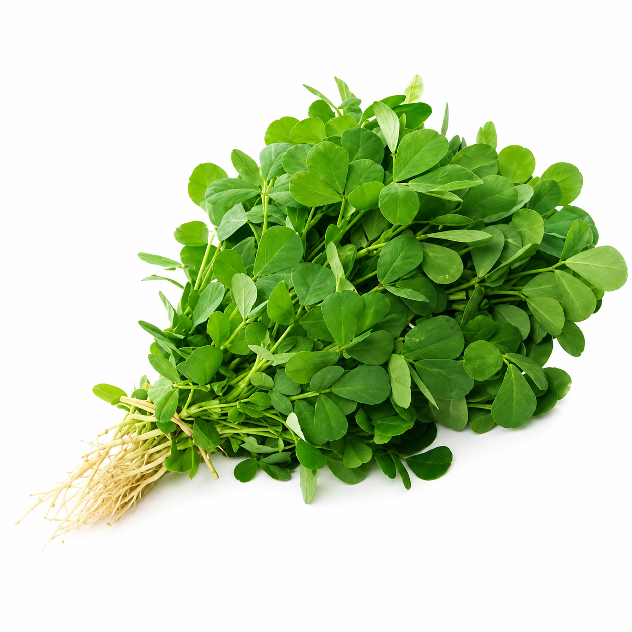 VMETHI PATA