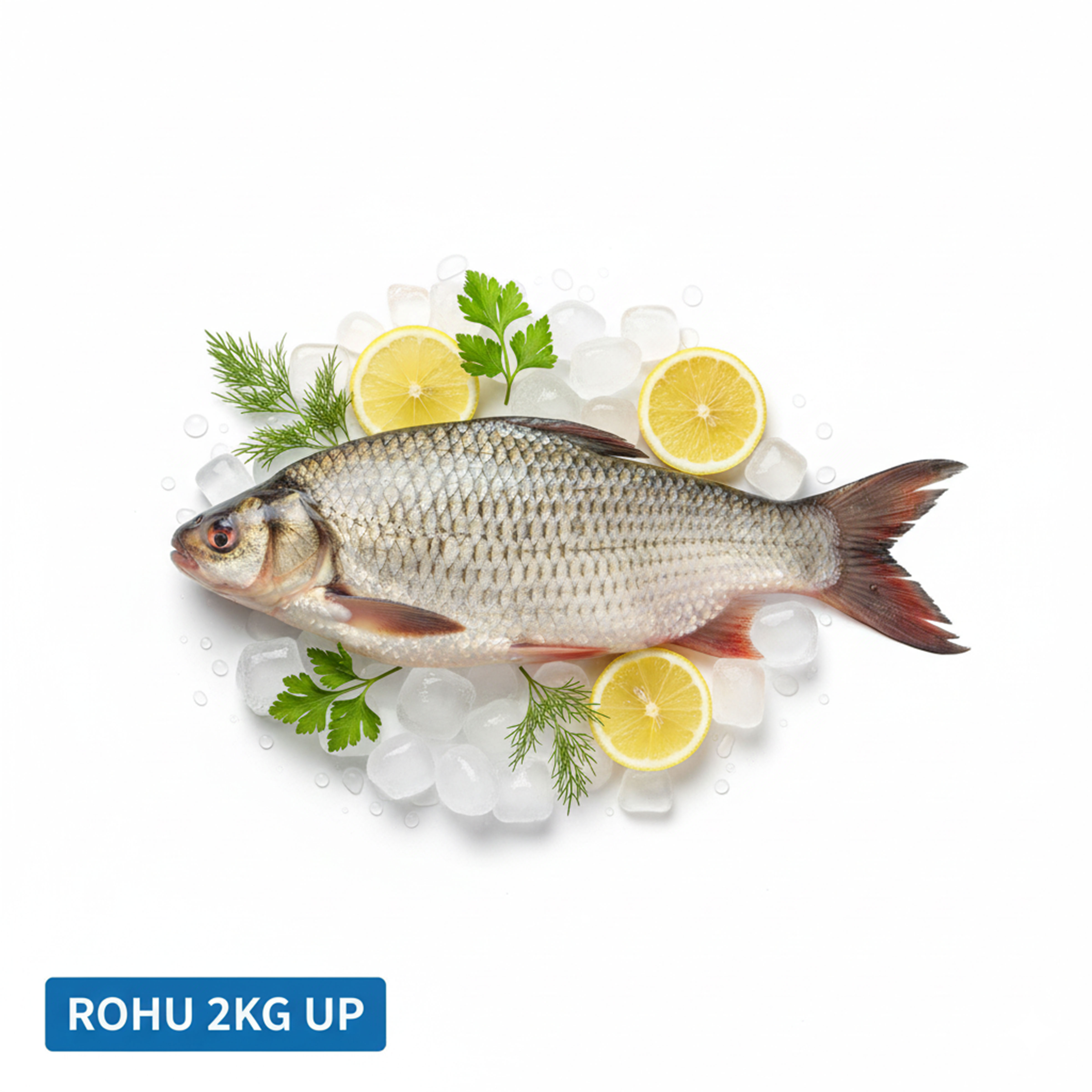 ROHU 2KG UP