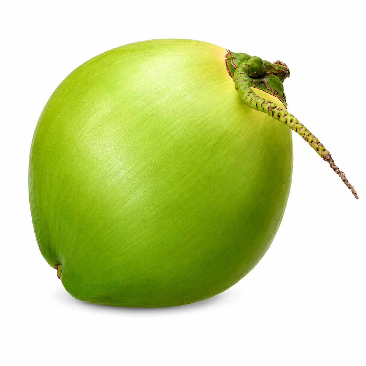 COCO VERDE / GREEN COCONUT