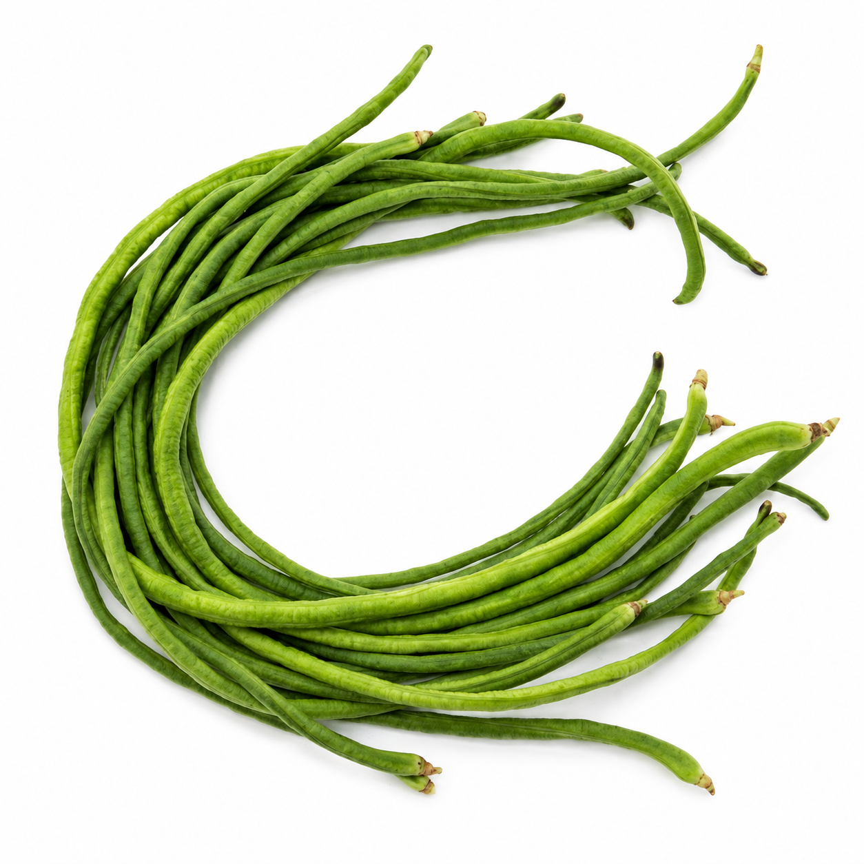 VFEIJAO VERDE LONGO / LONG BEAN
