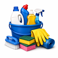 LIMPEZA DA CASA (HOUSEHOLD CLEANING)